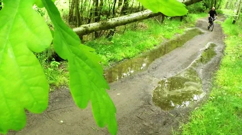 Biker on bicycle riding on muddy forest track. Stock-Footage 63405861