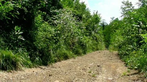 Biker comming in Stock Footage 835629