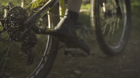 Biker cycling in the forest Stock Footage 86179803