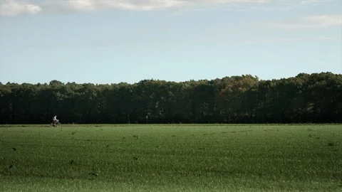 Biker cycling in a meadow Video stock 89883564