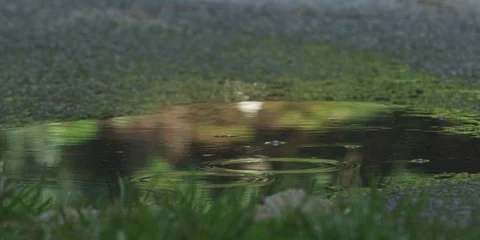 Biker cycling through a puddle and splashing water Video stock 103748158