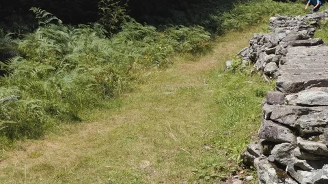 Biker downhill mountain Stock-Footage 114176300