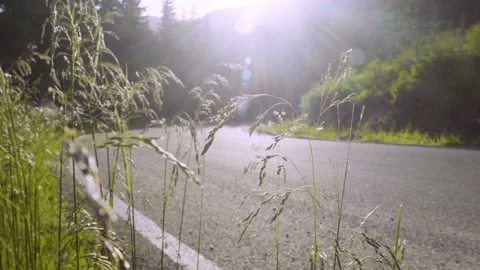 Biker drives motorcycle chopper on empty mountain road road in the morning. 스톡 동영상 150617275