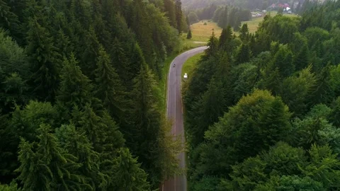 Biker drives motorcycle chopper on empty mountain road road in the morning. Stock Footage 150617553