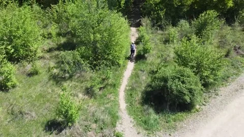 Biker on forest path Stock Footage 168484373