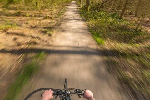 Biker in Forest Stock Photos