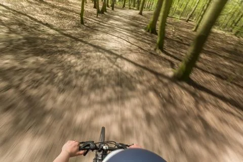 Biker in Forest Stock Photos