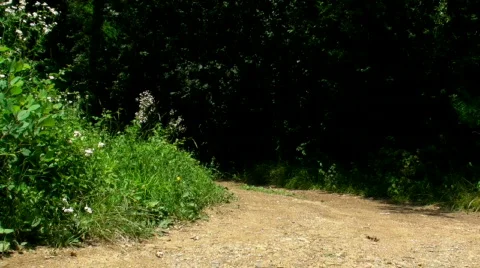 Biker Going Away Stock Footage 825088