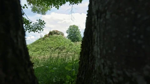 A biker going fast through the trees Video stock 107567964