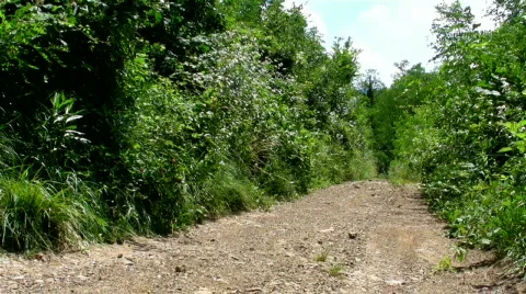 Biker Going Out Stock Footage 835612