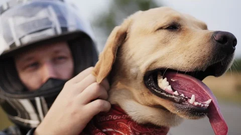 Biker guy caresses a dog Stock Footage 115966391