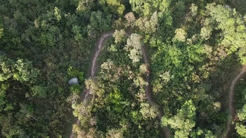 Biker on a hill Stock Footage 299949543