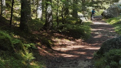 Biker on mountain path Stock-Footage 114173488