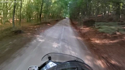 Biker on mountainous road, beautiful forest, active lifestyle Stock Footage 143970868