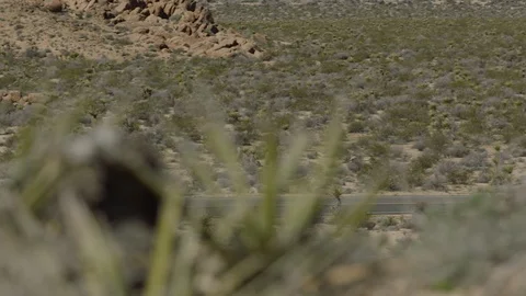 Biker moving through a large desert alone Video stock 106464691