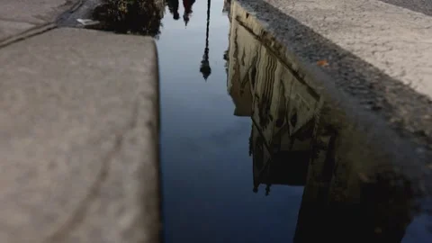 A biker passes by reflected in a pond in Paris during spring Stock Footage 321930353