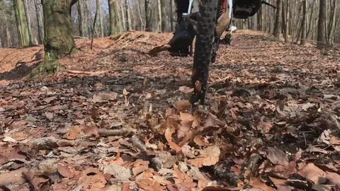 Biker passing by the camera in forrest, slow mo. Stock Footage 73943347