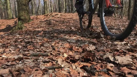 Biker passing by the camera in forrest, slow mo. Stock Footage 73957052
