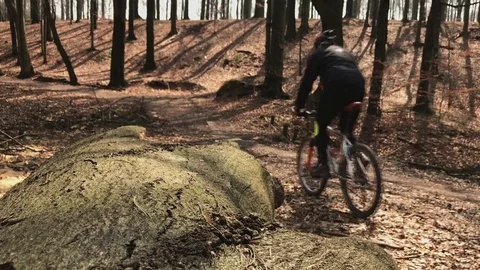 Biker passing by the camera in forrest, slow mo. Stock Footage 73957068