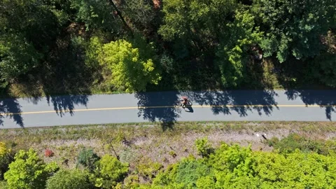 Biker Rides Alone On Park Path Captured From Above In Sunny Halifax, Nova Scotia Video stock 328317816