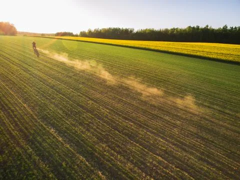 Biker rides in fields. Stock Photos