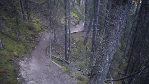 Biker riding Uphill Stock Footage 101989212