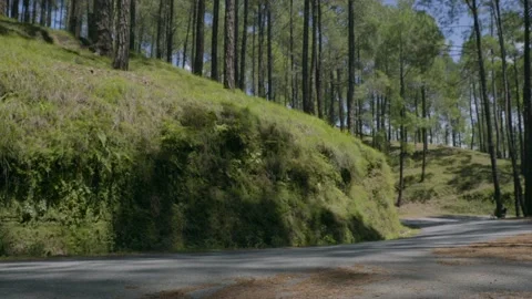 Biker on the road Video stock 201839697