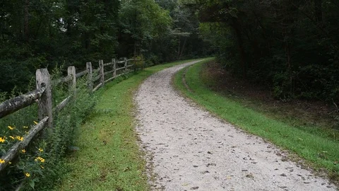 Biker On Trail Video stock 95025534