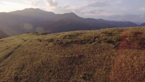 Biker trail ride on offroad path by mountain bike in summer sunny day Stock Footage 73235593