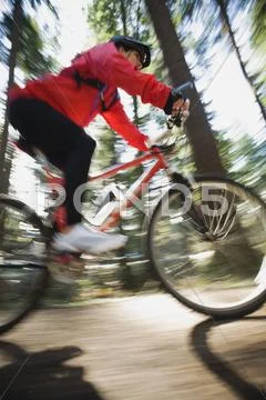 Biker in the woods Stock Photos