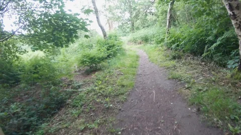 Bikeride exploring the woodlands Stock Footage 112968042