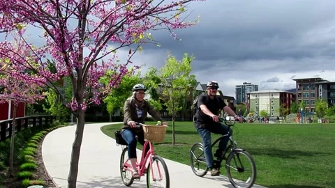 Bikers and walker passing by eastern redbud flower tree in green park Stock Footage 153881901