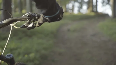 Bikers cycling in the forest Stock Footage 86179837