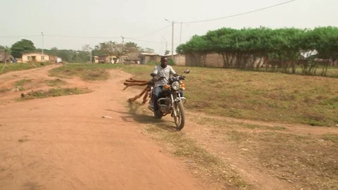 Biker's Howl Video stock 74840428