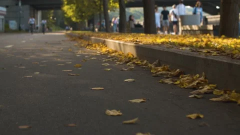 Bikers on the road Stock Footage 140425025