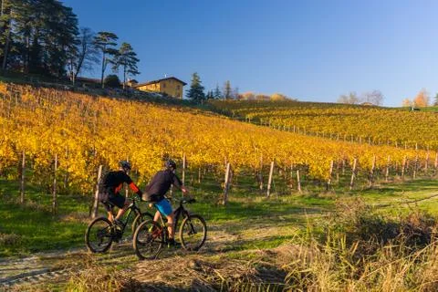 Bikers in the vineyard 库存照片
