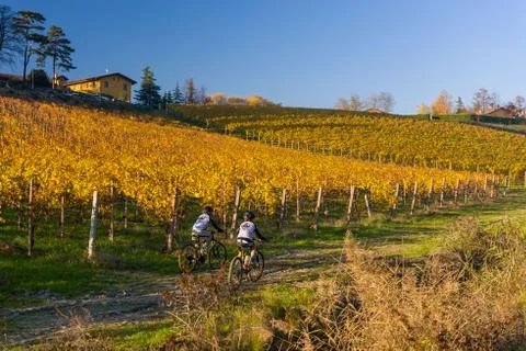 Bikers in the vineyard Stock Photos