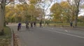 Bikes and bike carriages in Central Park in 4K 4k or 4k+ Resolution