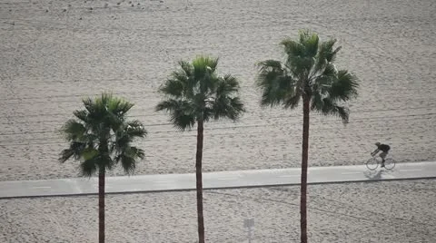 Bikes on Beach with Palm Trees Stock-Footage 10896671