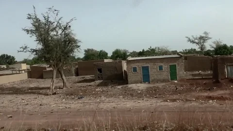 Bikes behind trees, slow motion Stock Footage 80578708