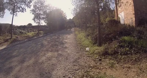 Bikes coming back from the mountain Video stock 119911167