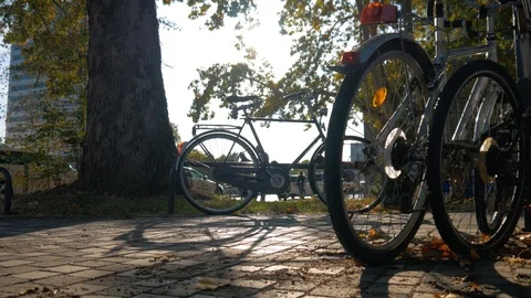 Bikes In The Fall At Sunset Stock Footage 95292251