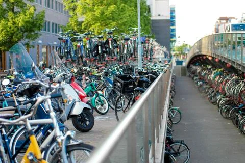 Bikes in The Netherlands