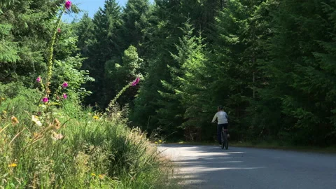 Bikes pass flowers Stock Footage 146993356