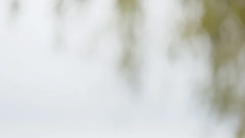 Bikes Passing Camera Stock Footage 82693091