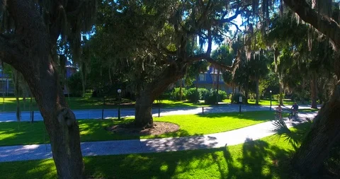 Bikes On Path Stockbeeldmateriaal 106895563