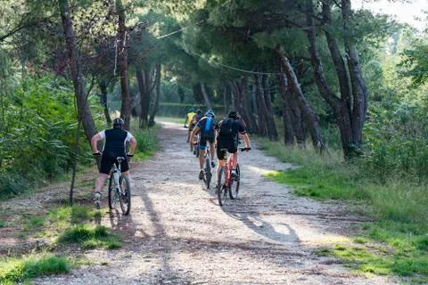 Bikes ride in a path inside a Forest in Italy Stock Photos