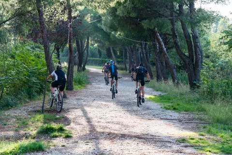 Bikes ride in a path inside a Forest in Italy Stock Photos