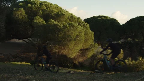 Bikes riding in the forest Stock Footage 308877304