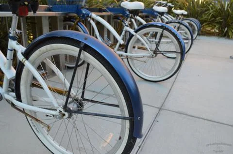 Bikes in a Row Фото